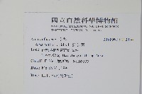 野莧菜藏品圖，第2張