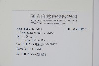 野莧菜藏品圖，第2張