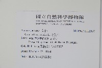 野莧菜藏品圖，第2張