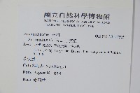 野莧菜藏品圖，第2張