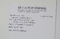 野莧菜藏品圖，第2張