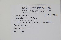 刺莧藏品圖，第2張