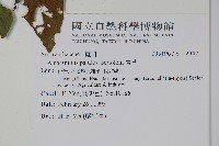 青莧藏品圖，第2張