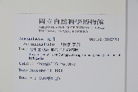 凹葉野莧菜藏品圖，第2張