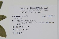 登錄號:S112955藏品圖，第2張