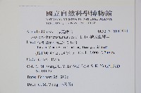 插天山細辛藏品圖，第2張