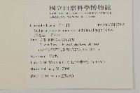 天蓬草、雀舌草藏品圖，第2張