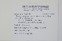 絡石藏品圖，第2張