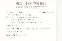 葶藶藏品圖，第2張