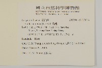 繁縷藏品圖，第2張
