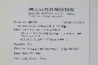 阿里山千金榆藏品圖，第2張