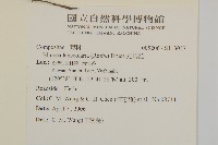 走馬胎藏品圖，第2張