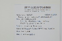 絡石藏品圖，第2張