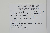 絡石藏品圖，第2張