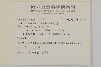 鵝兒腸藏品圖，第2張