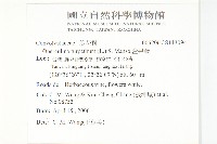 盒果藤藏品圖，第2張