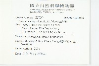 盒果藤藏品圖，第2張