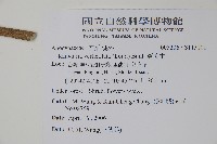 蘿芙木藏品圖，第2張