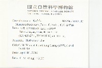 卵葉菜欒藤藏品圖，第2張