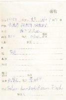 卵葉菜欒藤藏品圖，第4張