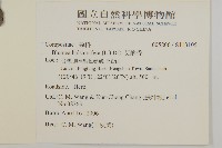 艾納香藏品圖，第2張