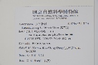 爬森藤藏品圖，第2張