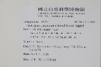 假酸漿藏品圖，第2張