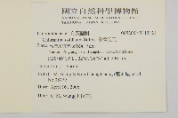 臺灣及己藏品圖，第2張