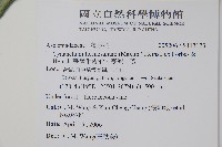 臺灣牛皮消、臺灣白薇藏品圖，第2張