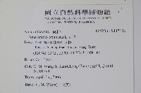 刺莧藏品圖，第2張