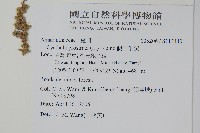 假川牛膝藏品圖，第2張