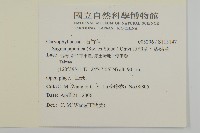 瓜槌草、漆姑草藏品圖，第2張