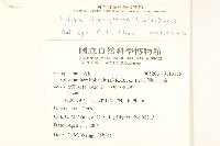 翅果假吐金菊藏品圖，第2張