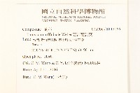 西洋蒲公英藏品圖，第2張