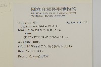 南方山芫荽藏品圖，第2張