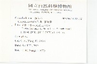 菟絲子藏品圖，第2張