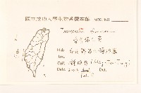 臺灣蒲公英藏品圖，第2張