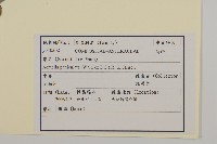 金鈕釦藏品圖，第2張