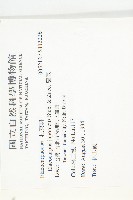 薯豆藏品圖，第2張