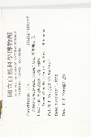 黑果馬交兒藏品圖，第2張