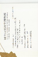 馬交兒藏品圖，第2張