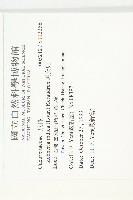 馬交兒藏品圖，第2張