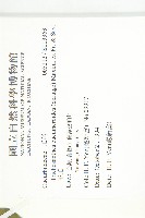 王瓜藏品圖，第2張