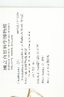 青牛膽藏品圖，第2張