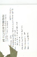 青牛膽藏品圖，第2張