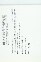 青牛膽藏品圖，第2張