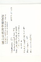 茅瓜藏品圖，第2張