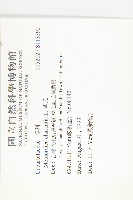 苦瓜藏品圖，第2張