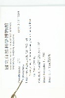 登錄號:S113398藏品圖，第2張