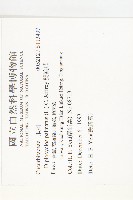 雙輪瓜藏品圖，第2張